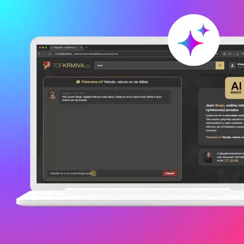 Assistant IA pour les achats et bot d'administration pour les administrateurs